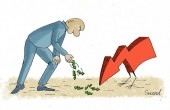 در جستجوی محرکی برای رشد !!