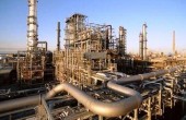 بررسی قیمت خوراک؛ شاید وقتی دیگر 