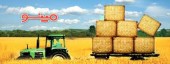 واگرایی مخفی مثبت «غمینو»