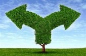 سالی که نکوست ، از بهارش پیداست !! 