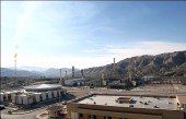 بازیگران رینگ شنبه 