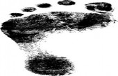 ادامه فاز خرید در حقوقی ها 