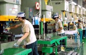 ثبات در قیمت نفت، رونق بازارهای مالی
