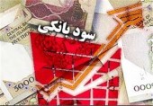  معاون نظارتی بانک مرکزی:تصمیم ‌بانک ها در کاهش سود، مغایر مصوبه شورای پول و اعتبار نیست