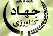  وزارت جهاد کشاورزی: سیب زمینی‌هایی که امحا کردیم، غیرقابل استفاده بودند