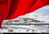 تصاویر: زائران امام رضا‎ 