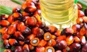 درخواست انجمن روغن نباتی برای افزایش ۲۰ هزار تنی سقف واردات روغن پالم