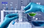 بررسی آخرین وضعیت «تیپیکو»