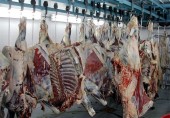  جزئیات واگذاری دو کشتارگاه دولتی اعلام شد