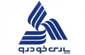 لیدر «خودرویی ها» چه هدفی در سر دارد؟!