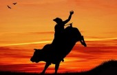 بازار در تسخیر «گاوها»