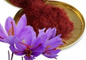 طلای سرخ ایرانی به یغما رفت