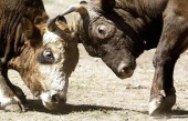 افزایش ریسک پذیری در فضای شفاف تر