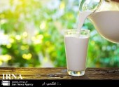 آغاز توزیع شیر محلی در منازل