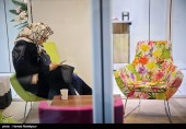 هشدار رئیس اتحادیه مبلمان به دولت؛ دومینوی ورشکستگی صنعت مبلمان ایران در راه است
