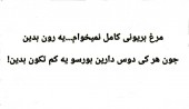 حالا که کم آبیه به ما یه ذره نون بدین!