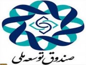  تهرانفر از صندوق توسعه ملی انصراف داد 