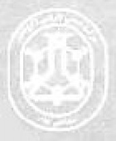 خبر خوش دشیمی به سهامداران قدیمی