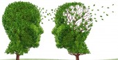 آلزایمر چگونه منجر به مرگ بیمار می‌ شود؟  
