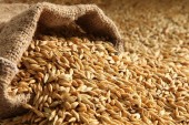 بررسی وضعیت معاملات جو در بورس