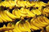 واردات ۱۵٧ میلیون دلاری موز