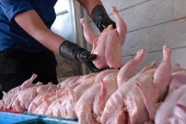چرا قیمت گوشت مرغ هم‌چنان بالاست؟