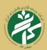 زیان در یک شرکت سرمایه گذاری