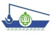 حسینا از خوان سازمان عبور کرد
