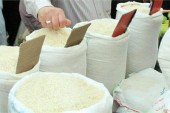 افزایش ۲۰ درصدی تولید برنج