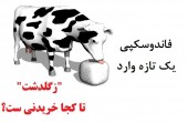 "زگلدشت" تا کجا خریدنی ست؟