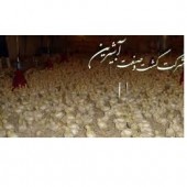 بهار آبین چگونه گذشت؟
