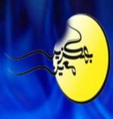 عملکرد منفی این صندوق در یک نیمه