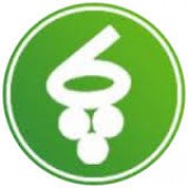 غپاک آب پاکی را روی دست سهامداران ریخت