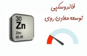 توسعه معادن روی خریدنی ست؟