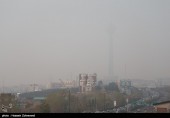  خواب زمستانی مسکن در پاییز 