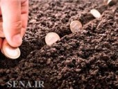 عطاالله افتخاری: مسیر اجرای ٣٠٠ طرح استارتاپی هموار است