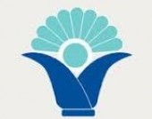 روشنایی سود در «ونور»