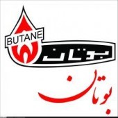 صحه حسابرس بر بودجه «لبوتان»