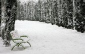 تهران دوشنبه برفی می شود  