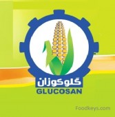 سالی نیکو برای «غگل»