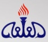 حسابرس از سود «شفن» کاست