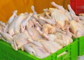 مرغ بهمنی یا مرغ بورسی؟/ مزایای قیمت گذاری گوشت مرغ در بورس کالا