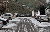 برف در شمال تهران / تصاویر 