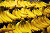 توتون و تنباکو در فهرست مهم‌ترین اقلام وارداتی!/ موز در صدر