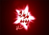 پدیده قابل معامله می شود