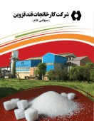 کاهش خفیف سودآوری در «قزوین»