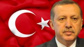 اردوغان: هلند ۸ هزار بوسنیایی را قتل عام کرد 