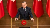 اردوغان خطاب به کشورهای اروپایی: دموکراسی و حقوق بشر را رعایت کنید / ترکیه کشوری نیست که به شهروندانش با سگ حمله شود! 