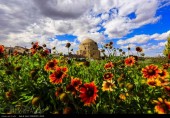 جاذبه های گردشگری استان کرمان به روایت تصاویر 