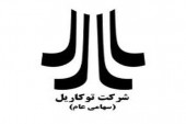 عملکرد «توکاریل» در ماه نخست چگونه بود؟